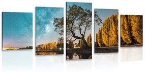 5 részes kép fa csillagos ég alatt