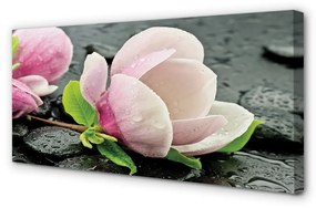 Canvas képek Magnolia kövek 100x50 cm