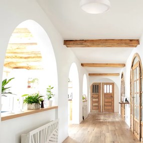 Mennyezeti lámpa 1xE27/60W/230V