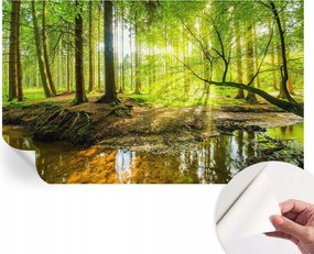 Öntapadós Mosható Fali Fotótapéta Zöld táj 416x254 cm