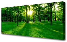 Vászonfotó Forest Park Természet 100x50 cm