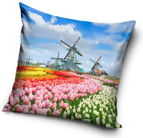 Amsterdam párnahuzat 40x40 cm színes
