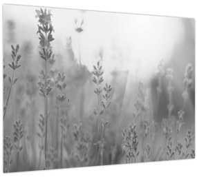 Kép - Levendula (70x50 cm)