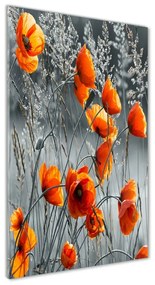 Egyedi üvegkép Vadvirágok pipacsok osv-102051759