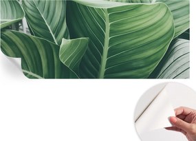 Öntapadós Dekoratív Fotótapéta Hálószobába Zöld nyugalom 250x104 cm