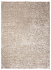 Szürke-bézs szőnyeg 80x150 cm – Universal
