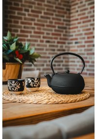 Fekete porcelán-öntöttvas teázó szett Sichuan – Bredemeijer
