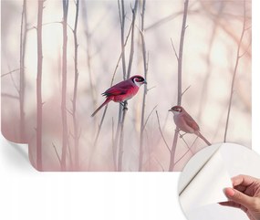 Öntapadós Dekoratív Fotótapéta Hálószobába Madárpár 152x104 cm