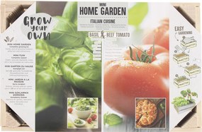 Otthoni mini kert kis üvegház termesztés egyedül otthon paradicsom bazsalikom