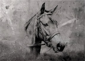 Üveg kép - Egy ló portréja (70x50 cm)