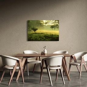 Kép - Ébredő erdő (90x60 cm)