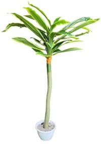 Valkonya mű dracaena sárkányfa élethű műfa műnövény 150 cm