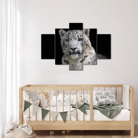 Kép - Snow Leopard (150x105 cm)