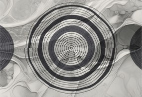 Dekoratív fotótapéta Furnér Flizelin Szürke körök 152x104 Ragasztó