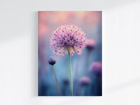 Poszter Rózsaszín Virág Fokhagyma Dekoratív Makró Pasztell 60x80