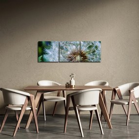 Elvirágzott pitypang képe (órával) (90x30 cm)