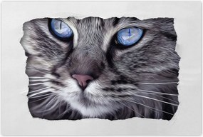 Poszterek 120x80 Cica Cicák