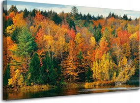 Vászonkép Színes Levelek Fák Ősz Természet 100x60 cm