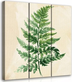 Vászonkép 90x100 Páfrány zöld természet botanika akvarell triptichon minimalizmus