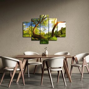 Kép egy tavaszi rétről (150x105 cm)