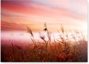 Boho fű piros poszter A2 59,4x42cm naplemente nyugodt kép #368