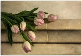 Poszterek 200x135 Rózsaszín tulipán csokor