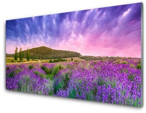 Fali üvegkép Mezei virágok hegyeken 125x50 cm