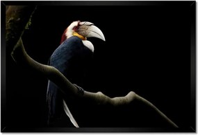 Poszterek keretben 60x40 Papagáj az ágon