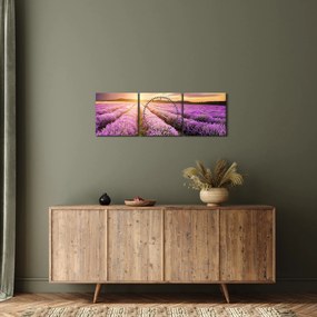 Kép - Napfelkelte levendulamezőn (órával) (90x30 cm)