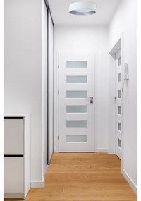 LED állítható fényerejű mennyezeti lámpa SMART GALAXY LED/24W/230V fehér/ezüst +