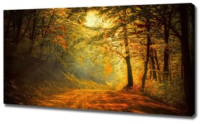 Vászon nyomtatás Erdő ősszel pl-oc-120x60-f-60738927