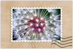 Poszterek 60x40 Pitypang Virág Virágok