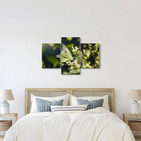 Pillangó képe (90x60 cm)