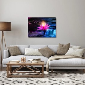 Tavirózsa a vízen képe (üvegen) (70x50 cm)