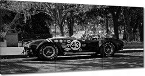 Festmények 120x60 Shelby