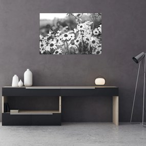 Kép - Százszorszépek (90x60 cm)