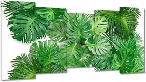 Vászonkép 150x80 Monstera Lyukas levelek