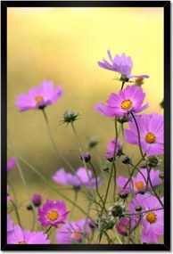 Poszterek keretben 40x60 Finom virágok a réten