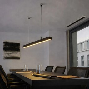 Brilagi - FULLDAY LED függeszték 20/30/40W, 230V, 2700/4000/6000K, 120 cm, fekete