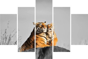 Kép - Tigris és a kölyke, fekete-fehér változat (150x105 cm)