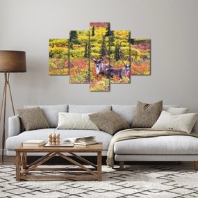 Kép - Caribou, Alaszka (150x105 cm)