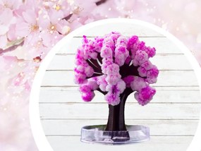 Zaparkorun Mágikus Sakura fa