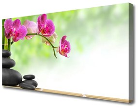 Vászonkép Rügyek Bamboo Zen Stone-Spa 100x50 cm