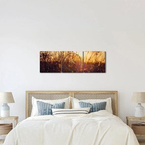 A mező képe naplementekor (órával) (90x30 cm)