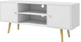 HOMCOM TV állvány nappali TV asztal 2 ajtóval, 2 tárolópolccal legfeljebb 55 colos tévékhez, 120x34x50 cm, fehér | Aosom