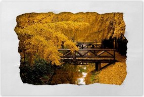 Poszterek 60x40 Tájkép Látvány