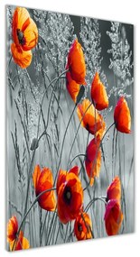 Egyedi üvegkép Vadvirágok pipacsok osv-102051546