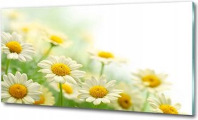 Fotó vászonkép edzett üveg Rózsa 100x70