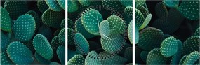 Kép - Opuntia (órával) (90x30 cm)