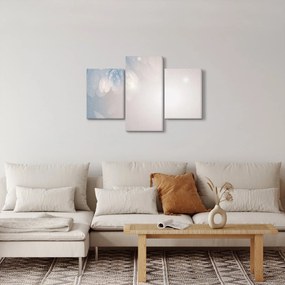 Kép - havas virágok (90x60 cm)